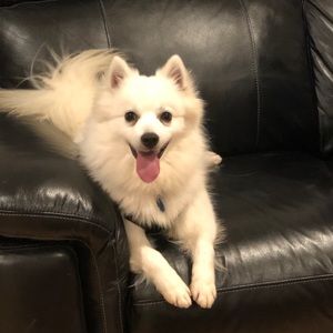 Meet your Posher, Casie